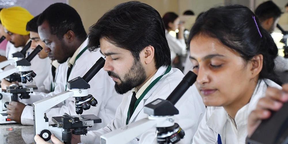 University students engaged in research and innovation activities.